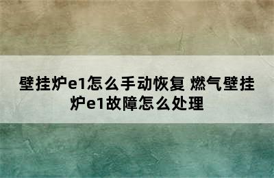 壁挂炉e1怎么手动恢复 燃气壁挂炉e1故障怎么处理